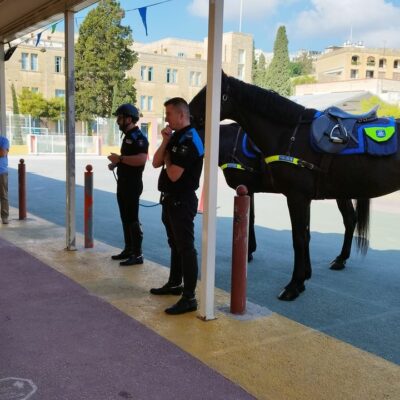 SMCJ 05. Mounted Police Section (5)
