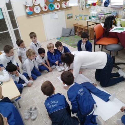 SB DEC 13. Identifying different body parts (2)