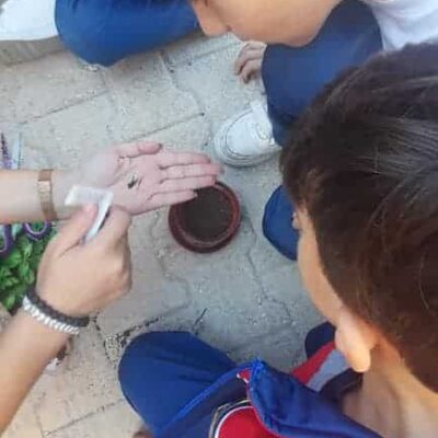 DLSJ Dec 13.planting basil and mint (1)
