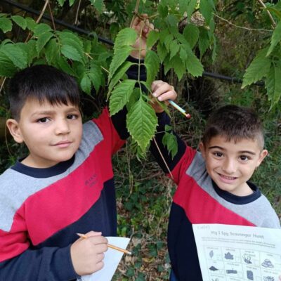 DLSJ Dec 18. Maths in Nature (2)