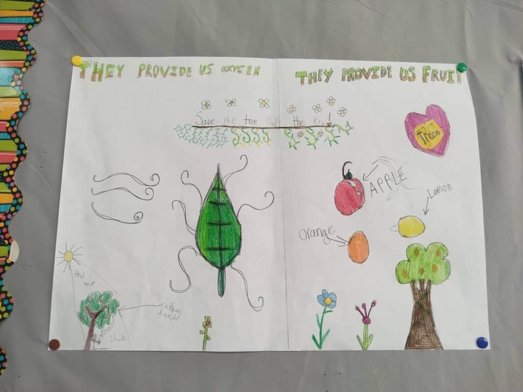 Year 6- Trees are cool - Dinja waħda-01