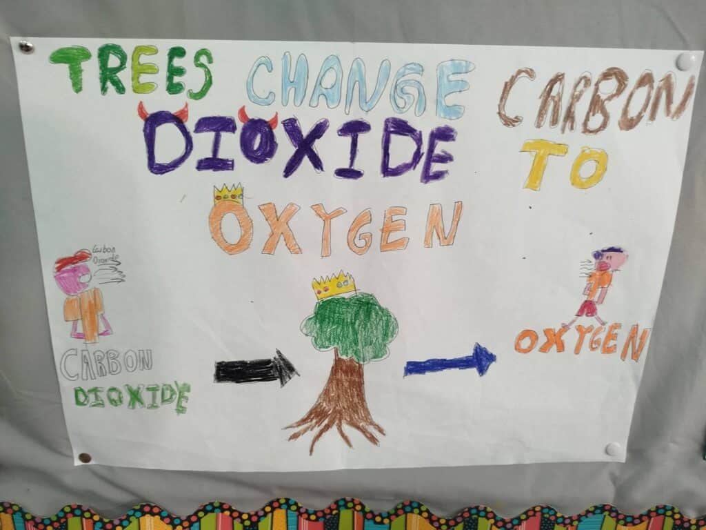 Year 6- Trees are cool - Dinja waħda-02