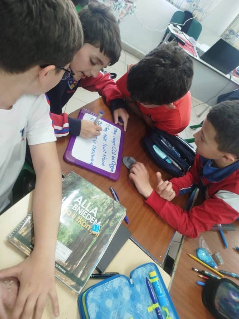 Year 6- Trees are cool - Dinja waħda-03