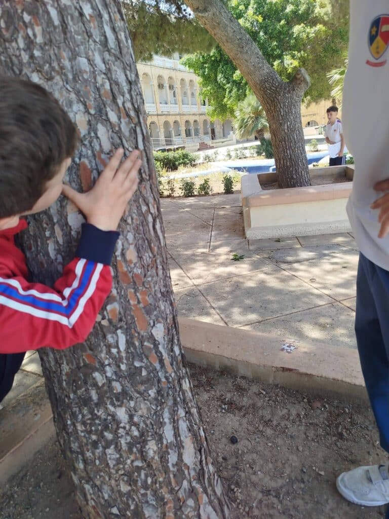 Year 6- Trees are cool - Dinja waħda-06