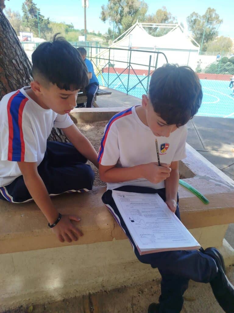 Year 6- Trees are cool - Dinja waħda-08